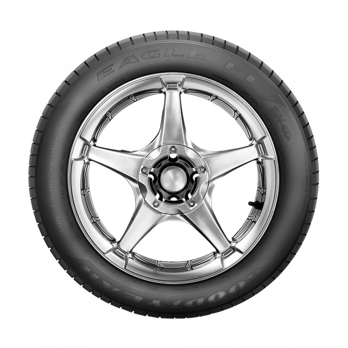 Pneu Aro 19 Goodyear 255/40R19 Eagle F1 Asymmetric 100Y